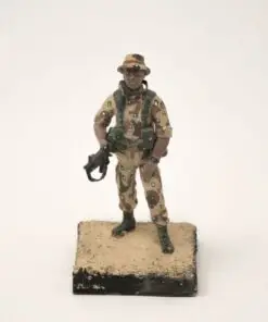 Alternative view of American Soldier