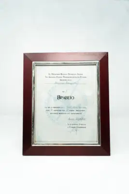 3rd Place at National Greek Association of Modelling Award
